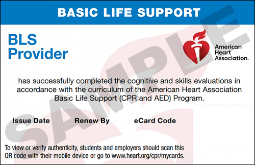 Sample American Heart Association AHA BLS CPR Card Certification from CPR Certification Raleigh